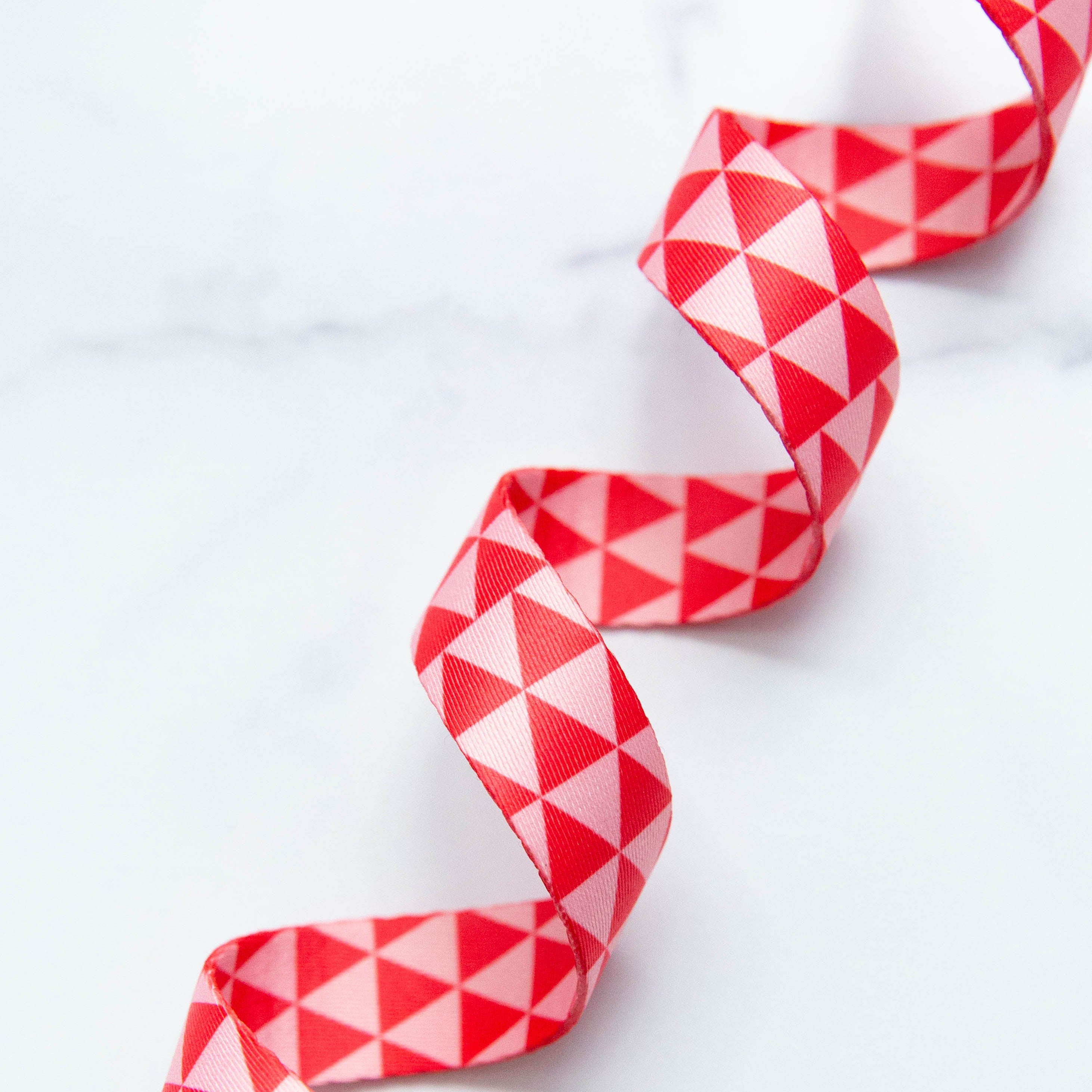 Triangle Webbing in Sea Fan 1