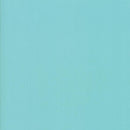 Moda Bella Solid - Spray 263 (SSC 175)