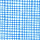Gingham Play: Blue
