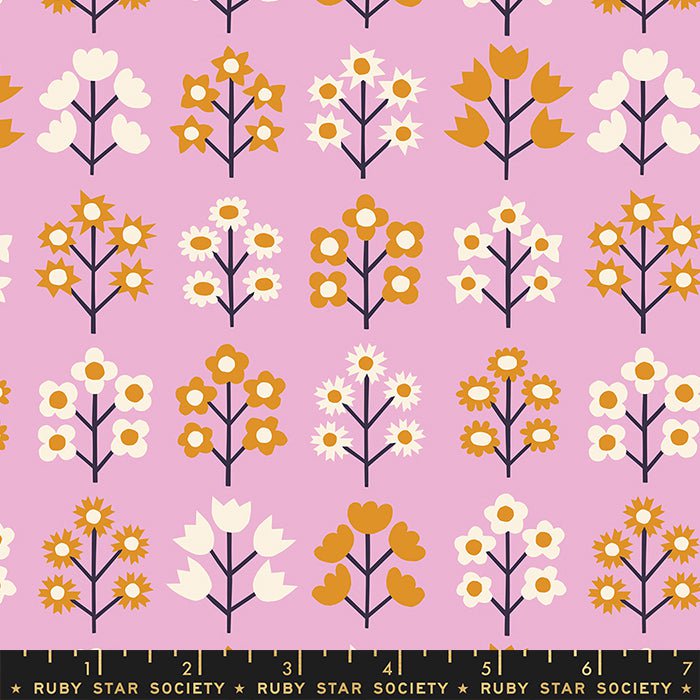 Petunia: Jelly Roll