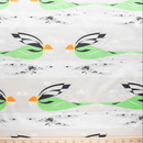 Vanishing Birds: Carolina Paroquet