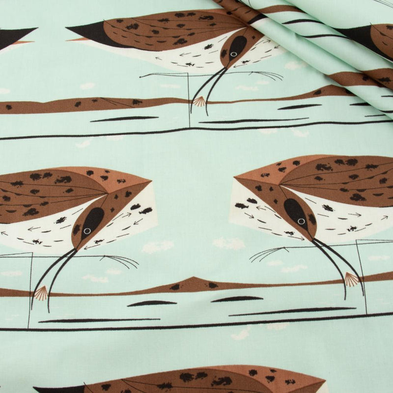 Coastal: Curlew