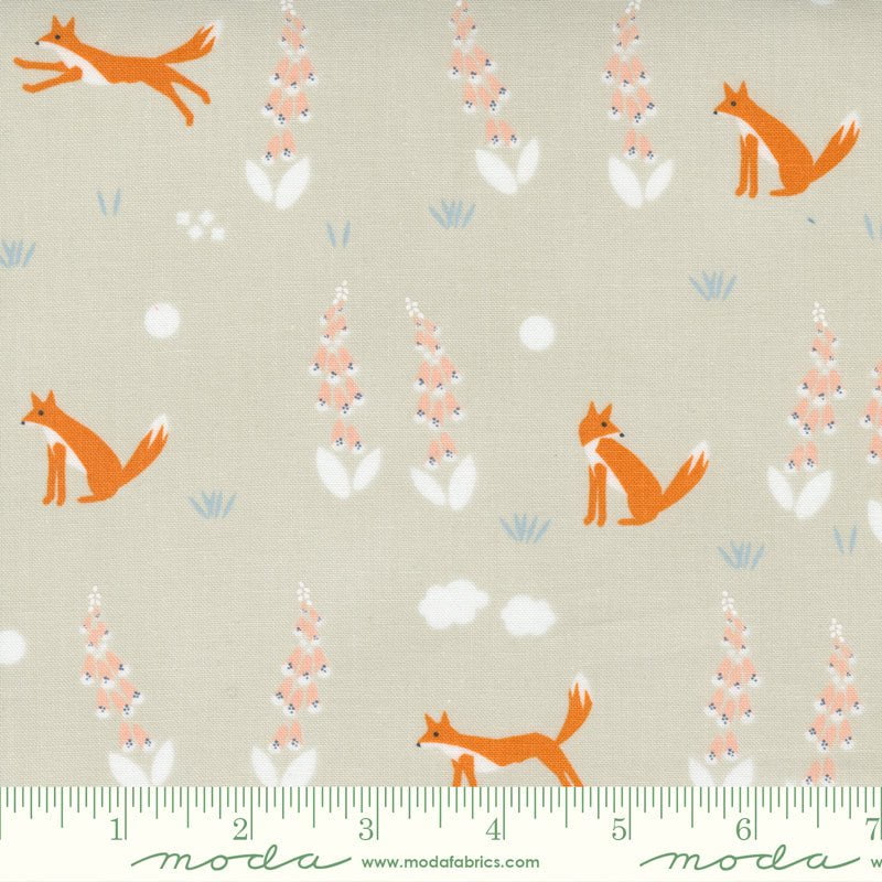 Meander: Foxes in Cloud