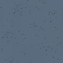 C+S Basics: Freckles in Sea Star