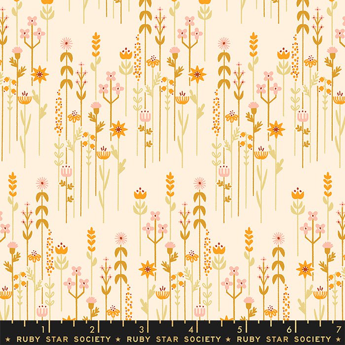 Linear: Jelly Roll