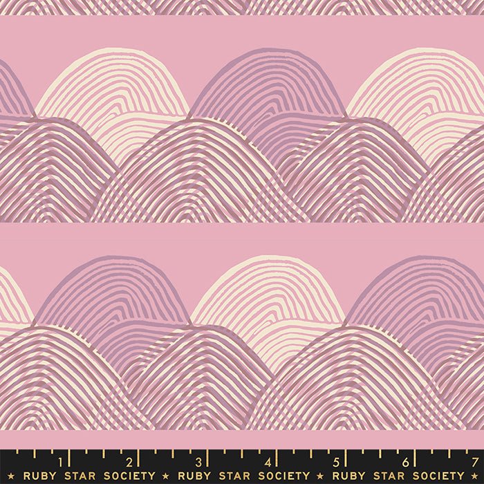 Floradora: Headlands in Lavender