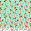 Moon Garden: In a Finch in Dawn