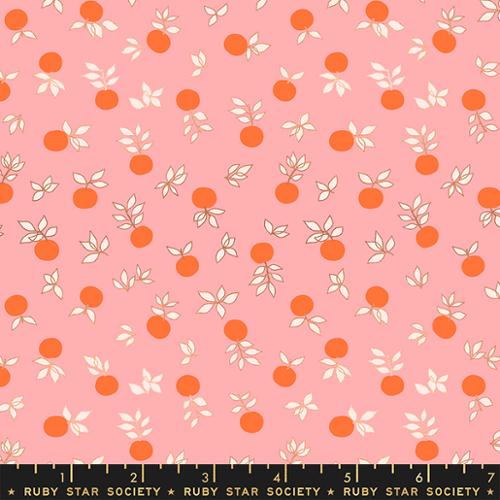 Stay Gold: Blossom in Merry