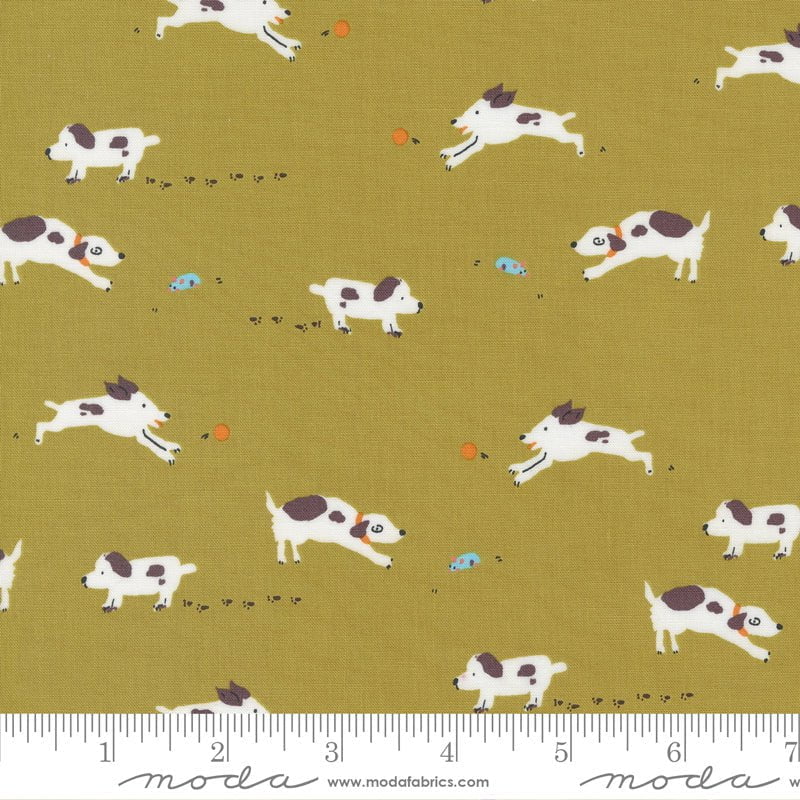 Pips: Jelly Roll