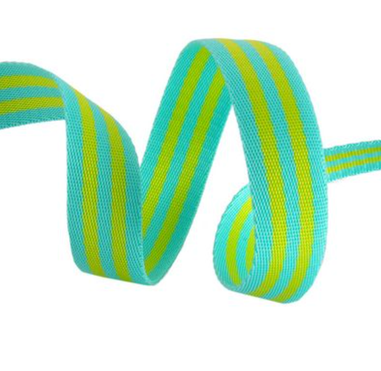 Tula Webbing: Lime and Turquoise 1 inch wide