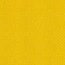 C+S Basics: Stitch & Repeat in Daisy