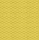 C+S Basics: Mishmesh in Citrine