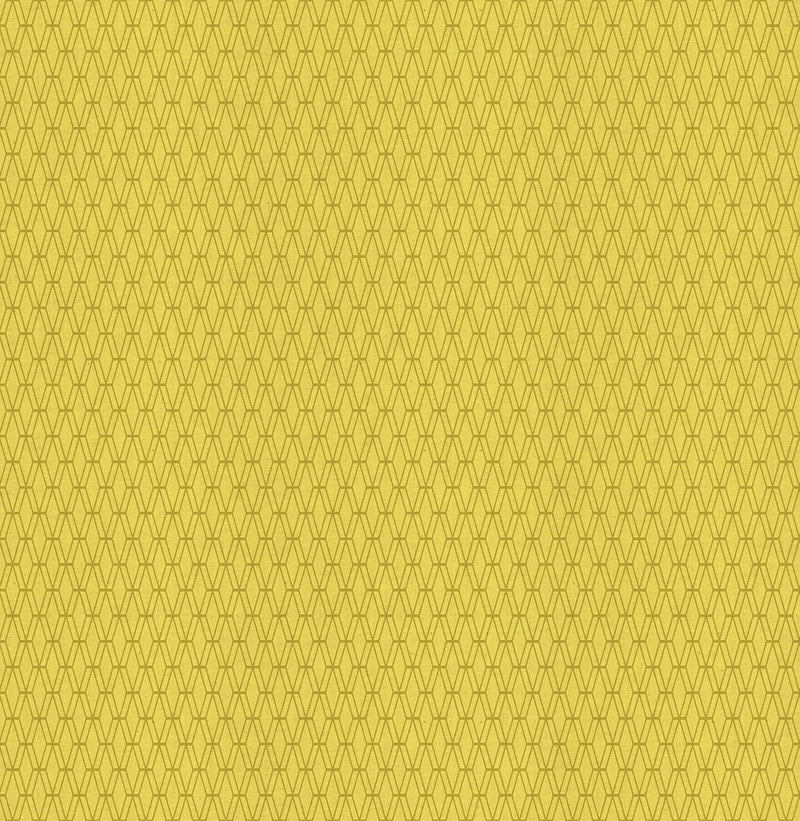 C+S Basics: Mishmesh in Citrine