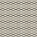 C+S Basics: Mishmesh in Fishnet Stockings